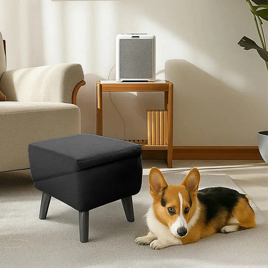 Pet Ramp with Adjustable Height and Step Stool