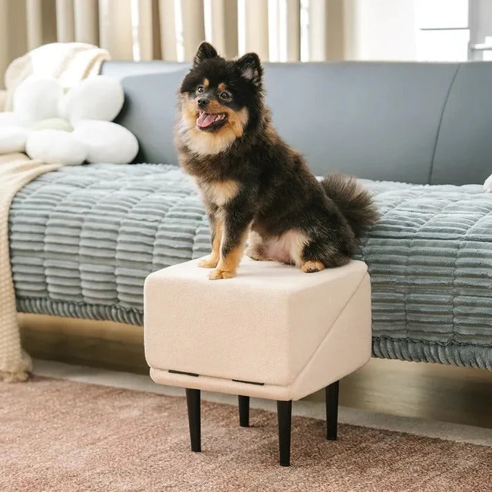 Pet Ramp with Adjustable Height and Step Stool