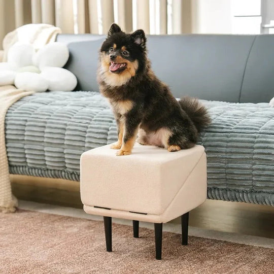 Pet Ramp with Adjustable Height and Step Stool