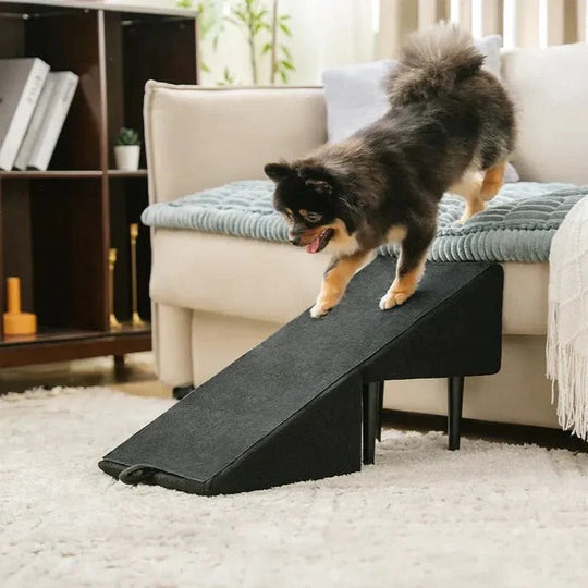Pet Ramp with Adjustable Height and Step Stool