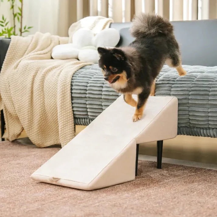 Pet Ramp with Adjustable Height and Step Stool