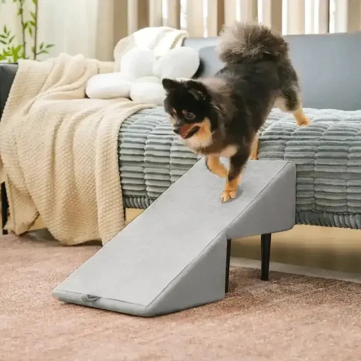Pet Ramp with Adjustable Height and Step Stool