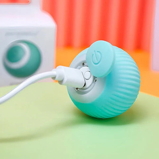 Pet Toy with Automatic Rolling Action and USB Charging