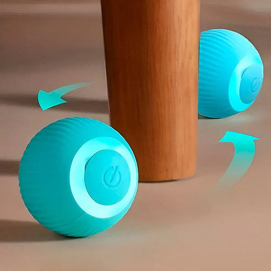 Pet Toy with Automatic Rolling Action and USB Charging