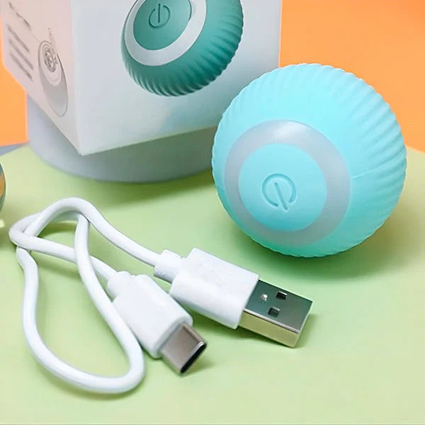 Pet Toy with Automatic Rolling Action and USB Charging
