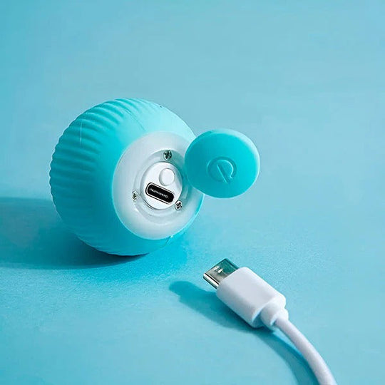Pet Toy with Automatic Rolling Action and USB Charging