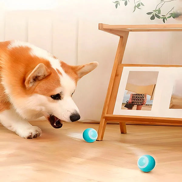 Pet Toy with Automatic Rolling Action and USB Charging