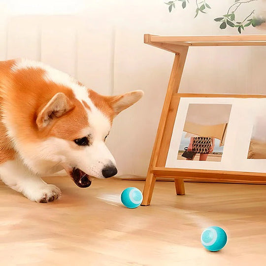 Pet Toy with Automatic Rolling Action and USB Charging