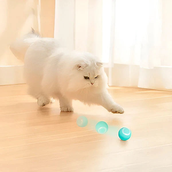 Pet Toy with Automatic Rolling Action and USB Charging