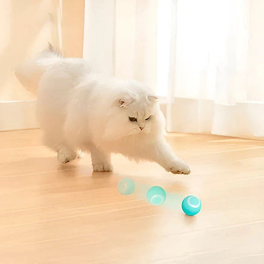 Pet Toy with Automatic Rolling Action and USB Charging