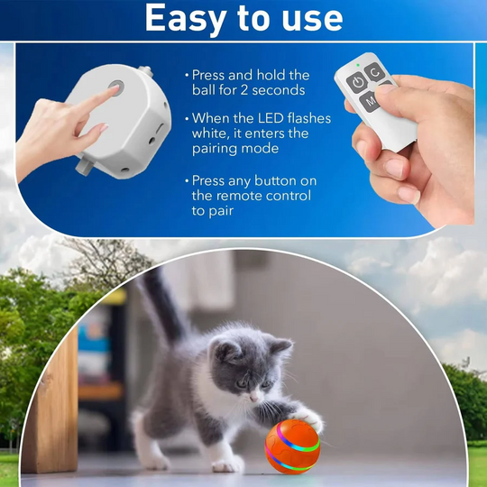 Pet Toy with Interactive Design and Engaging Features