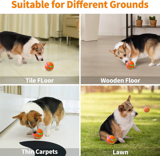 Pet Toy with Interactive Design and Engaging Features