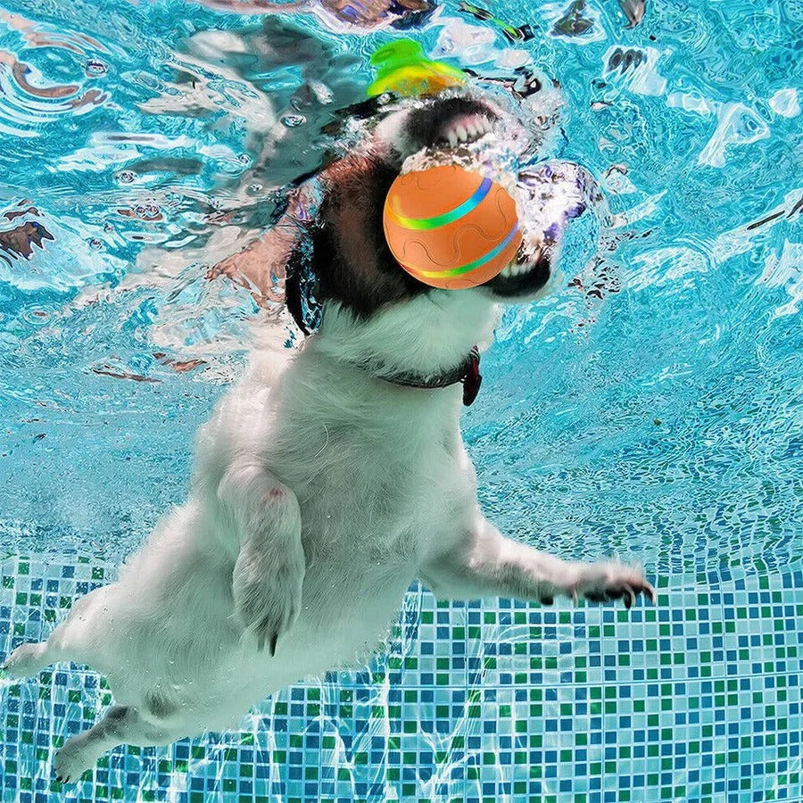 Pet Toy with Interactive Design and Engaging Features