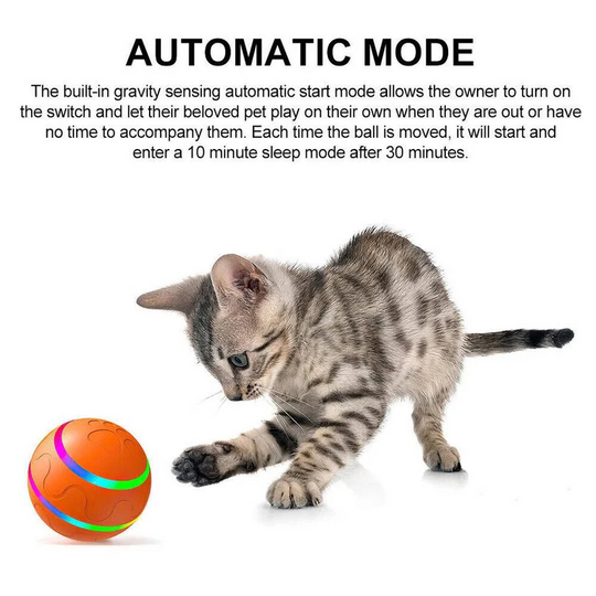 Pet Toy with Interactive Design and Engaging Features