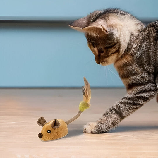Pet Toy with Motion Activation and Mouse Design