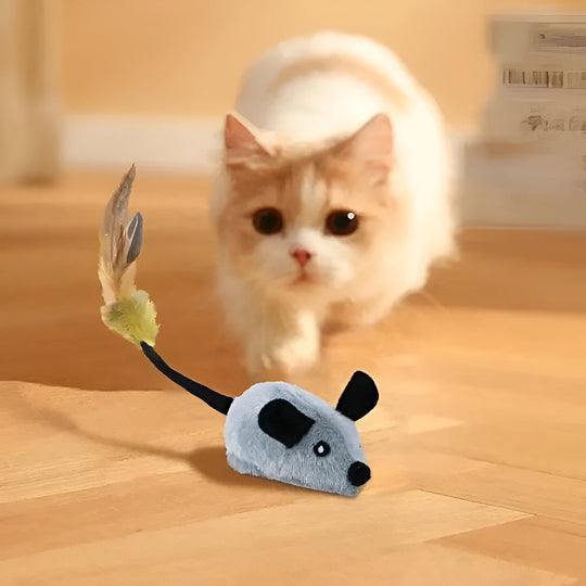 Pet Toy with Motion Activation and Mouse Design