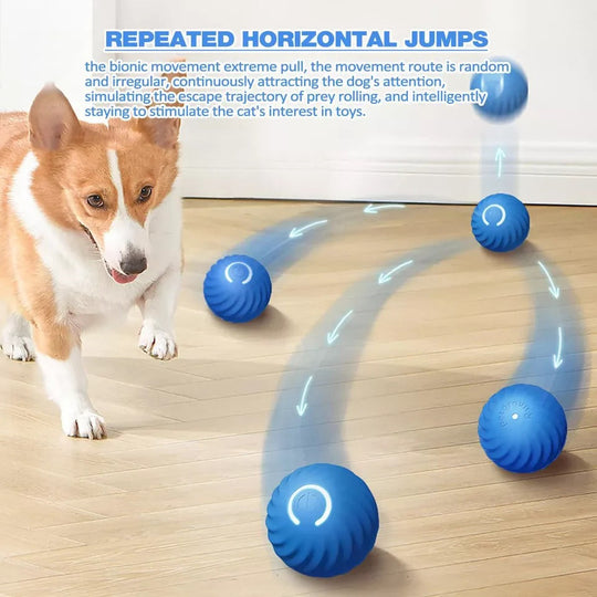 Pet Toy with Motion Activation and Rolling Action