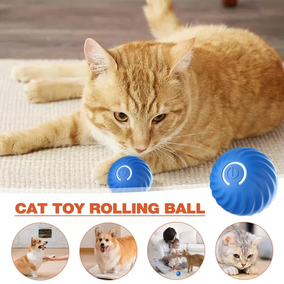 Pet Toy with Motion Activation and Rolling Action