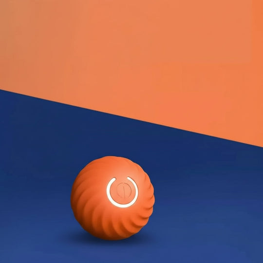 Pet Toy with Motion Activation and Rolling Action