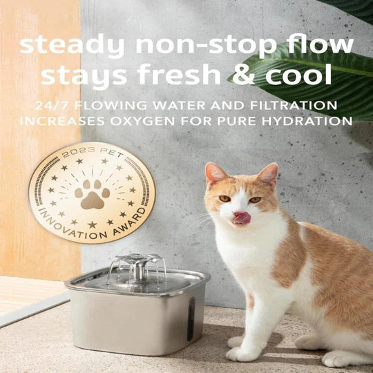 Pet Water Fountain with Automatic Flow and Stainless Steel