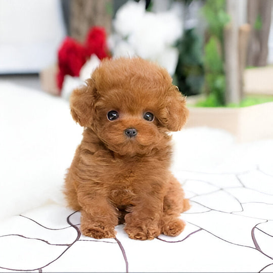 Plush Puppy Toy with Soft Fur and Weighted Filling