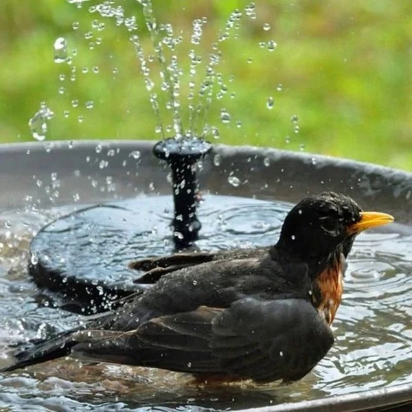 Solar Water Fountain Pump with Floating Design and Pond Use