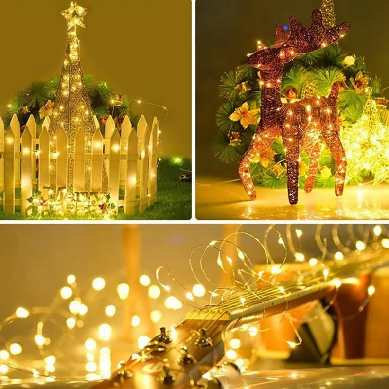 String Lights with Battery Power and Indoor Use