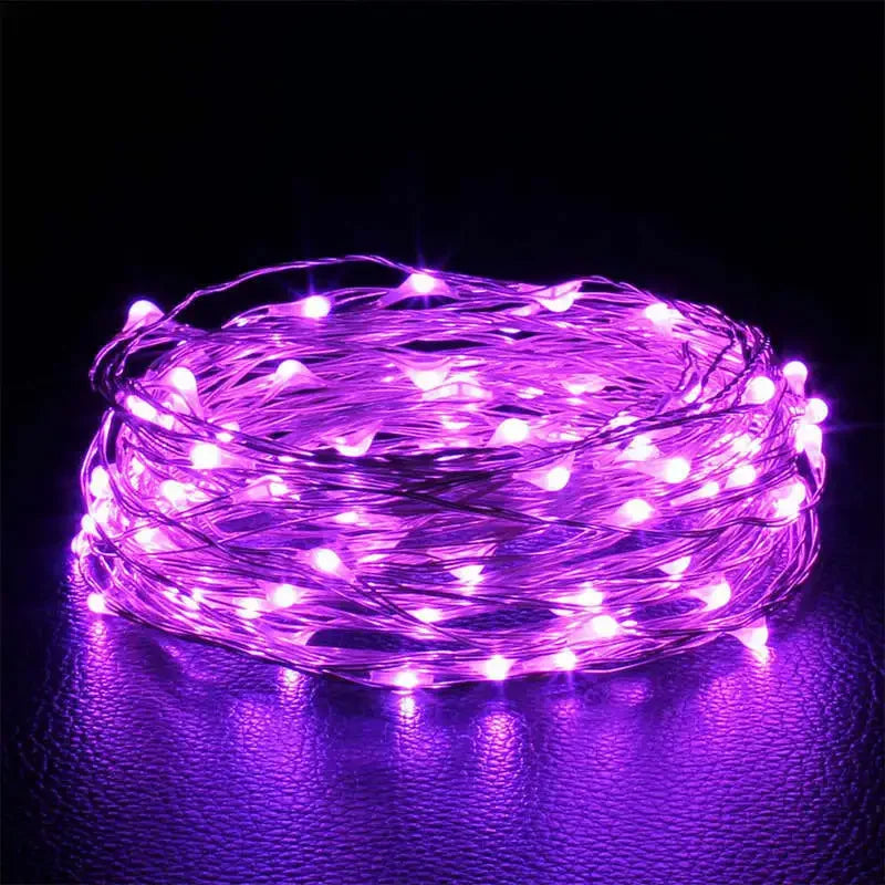 String Lights with Battery Power and Indoor Use