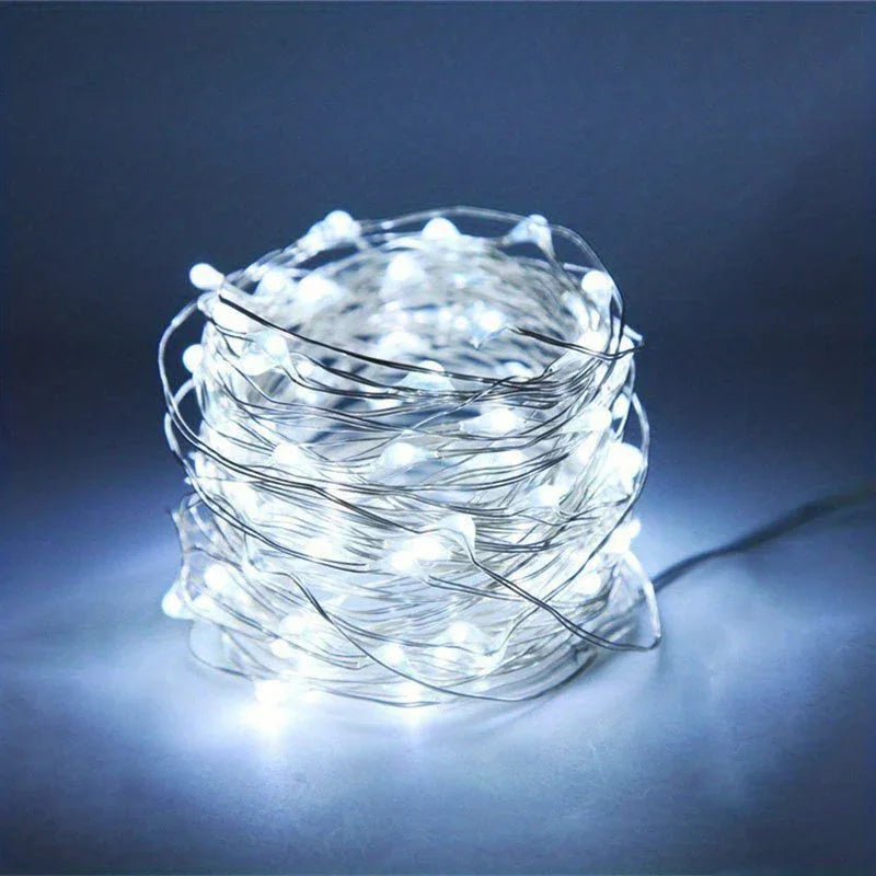 String Lights with Battery Power and Warm White Glow