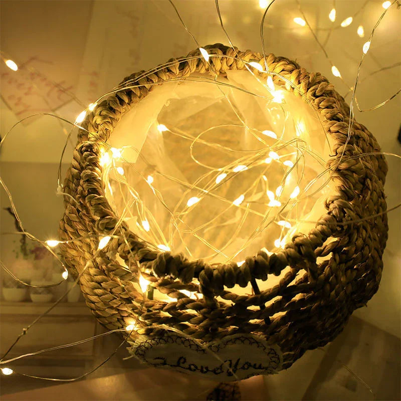 String Lights with Battery Power and Warm White Glow