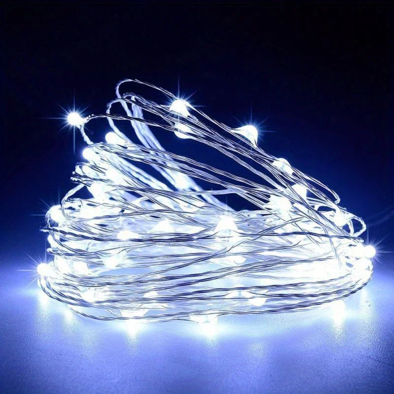 String Lights with Battery Power and Warm White Glow
