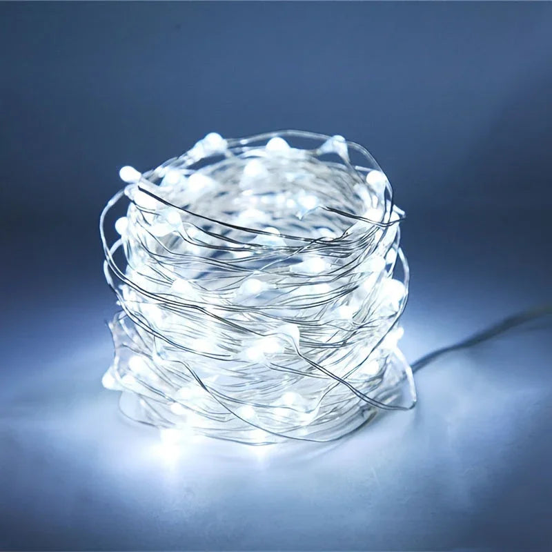 String Lights with Battery Power and Warm White Glow
