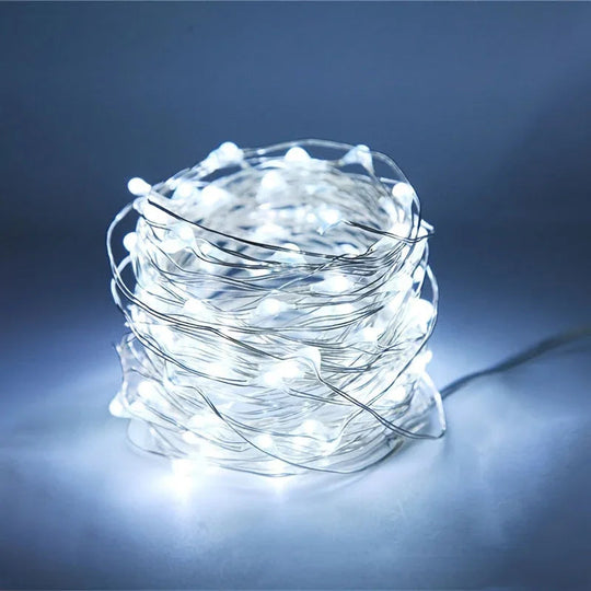 String Lights with Battery Power and Warm White Glow