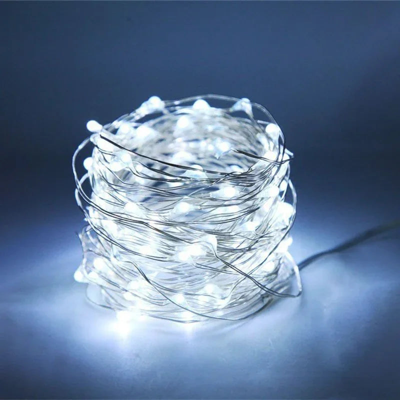 String Lights with Battery Power and Warm White Glow