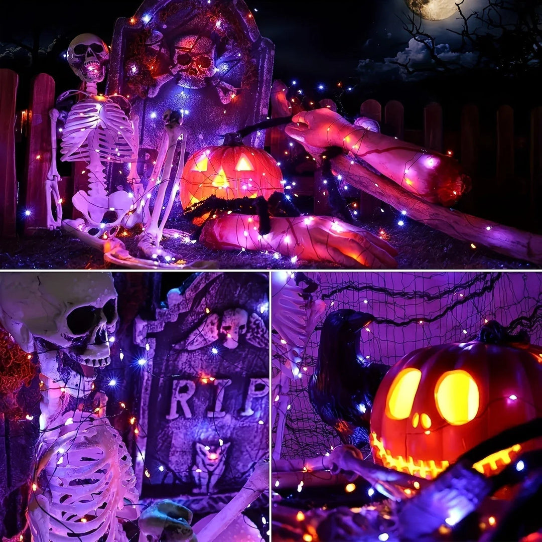 String Lights with Solar Power and Outdoor Use