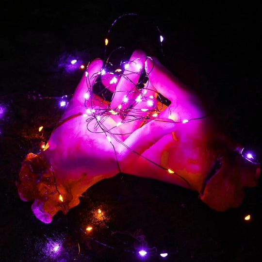 String Lights with Solar Power and Outdoor Decor