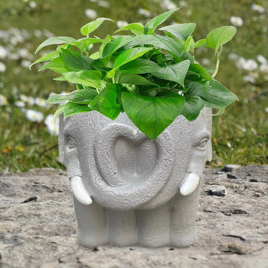 Succulent Pot with Cartoon Design and Home Decor