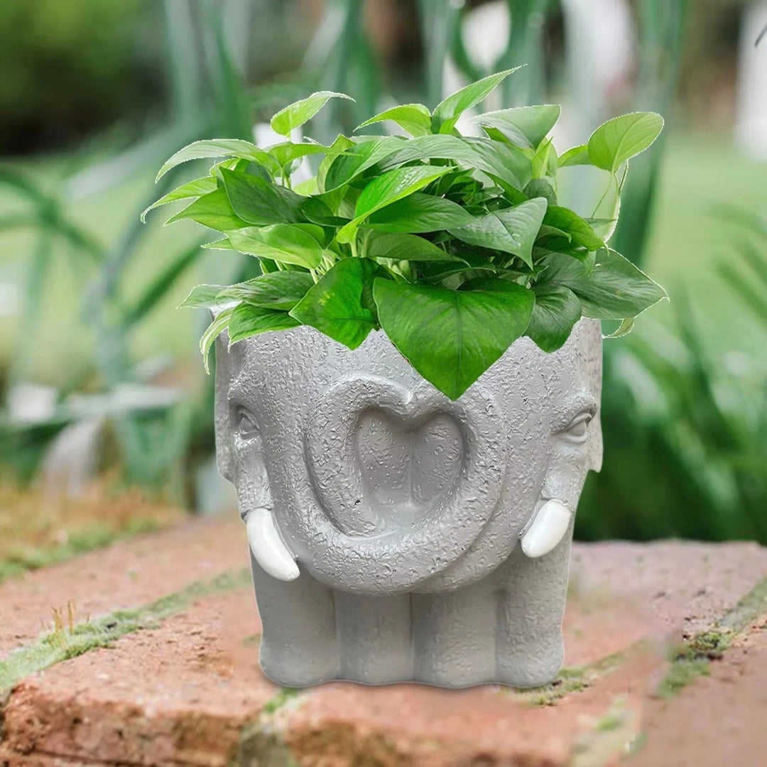 Succulent Pot with Cartoon Design and Home Decor