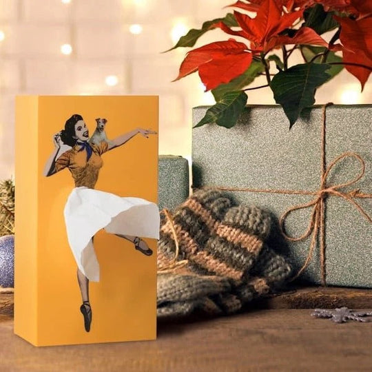 Tissue Holder with Creative Design and Flying Skirt