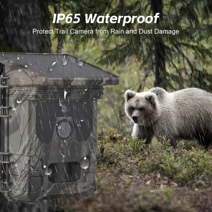 Trail Camera with Solar Power and Night Vision